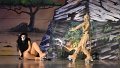 Lionking 0160